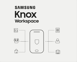 Knox Workspace - 1 Year